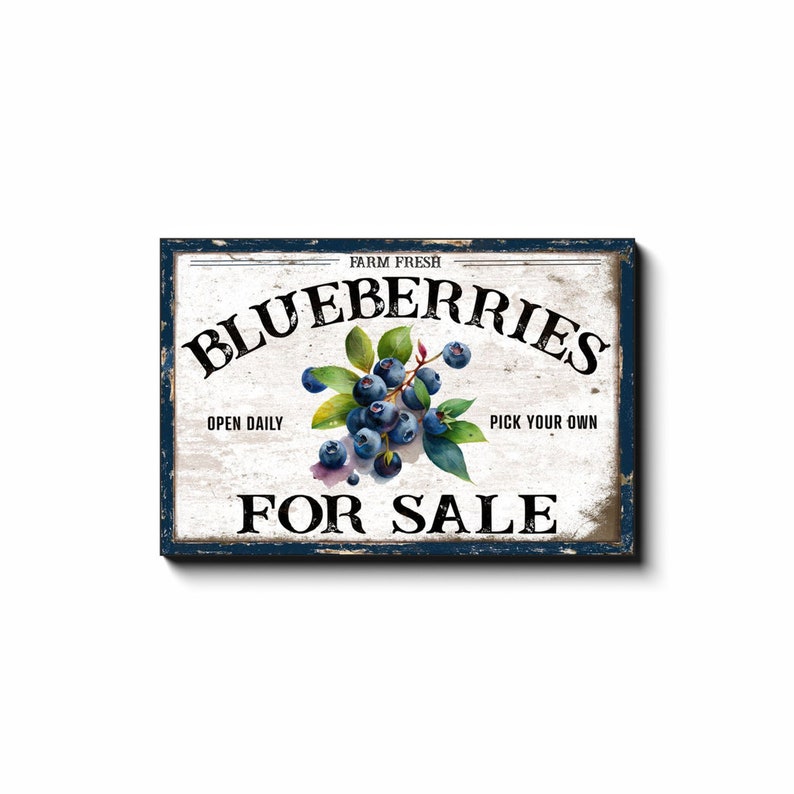 Blueberries For Sale, Spring Decor, Spring Canvas Wall Art, Large Canvas Signs, Vintage Spring Art, Garden Art, Farmhouse Summer Decor 24x36 inch