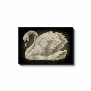 Vintage Swan Print, Vintage Canvas Wall Art, Large Canvas Signs, Antique Swan Art, Neutral Wall Art, Minimalist Canvas Art image 10