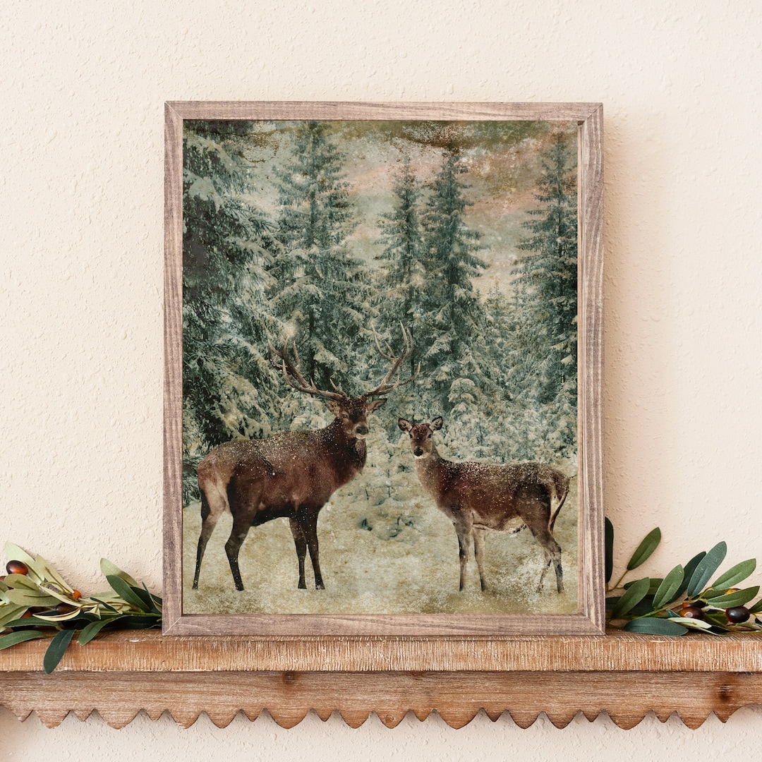 Deer in Winter Photograph: Vintage Woodland Art Print - Etsy