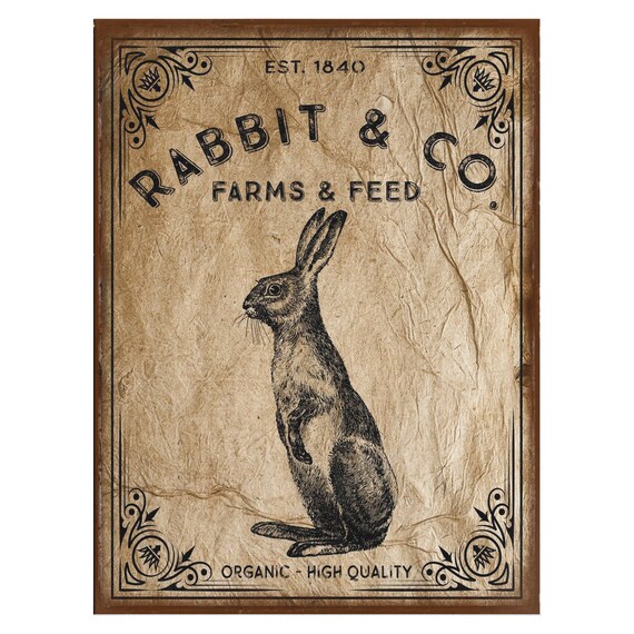 Vintage Rabbit