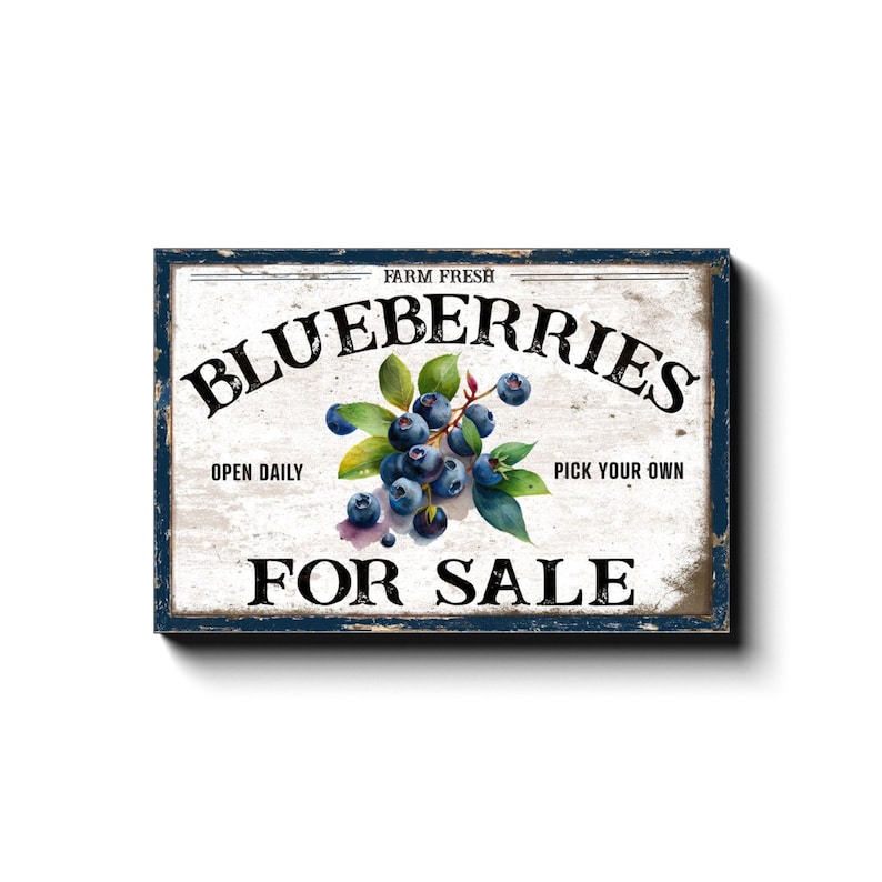 Blueberries For Sale, Spring Decor, Spring Canvas Wall Art, Large Canvas Signs, Vintage Spring Art, Garden Art, Farmhouse Summer Decor 16x24 inch