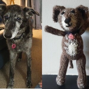 Dog Custom Pet Portrait let me knit your dog image 2