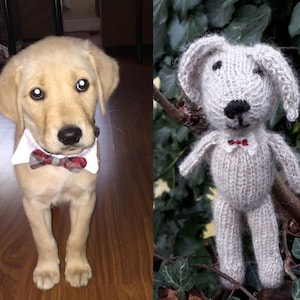 Dog Custom Pet Portrait - let me knit your dog