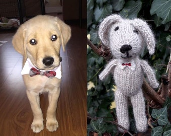 Dog Custom Pet Portrait - let me knit your dog