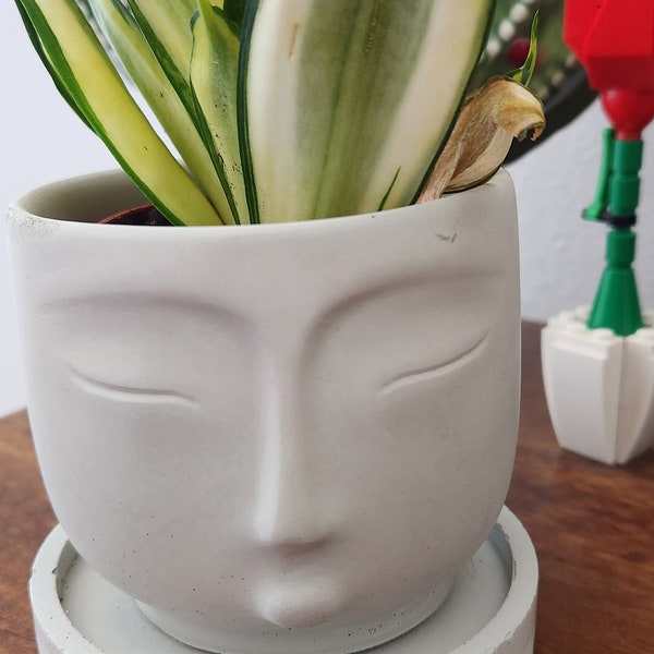 Face planter with tray