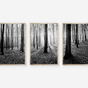 Impression de forêt, art mural arbres, grande photographie de nature, image de paysage, forêt, photo noir et blanc, bois, imprimable, décoration, téléchargement numérique