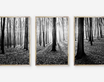 Forest Print,Trees Wall Art,Large Nature Photography,Landscape Picture,Woodland,Black & White Photo,Woods,Printable,Decor,Digital Download