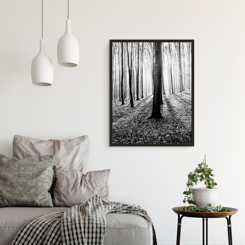 Impresión del bosque, arte de la pared de los árboles, imprimible, fotografía de la naturaleza, bosque, blanco y negro, foto, maderas, imagen, paisaje, decoración de la pared, digital, descargar imagen 5