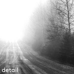 May include: Black and white photograph of a dirt road disappearing into a dense fog. Bare trees line the right side of the road, and the word "detail" is printed at the bottom.