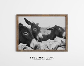 Donkey Print,Printable Animal Wall Art,Animal Portrait,Black White Horizontal Photo,Farm Animal Photography,Farmhouse Decor,Digital Download