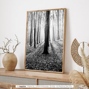 Impresión del bosque, arte de la pared de los árboles, imprimible, fotografía de la naturaleza, bosque, blanco y negro, foto, maderas, imagen, paisaje, decoración de la pared, digital, descargar imagen 4