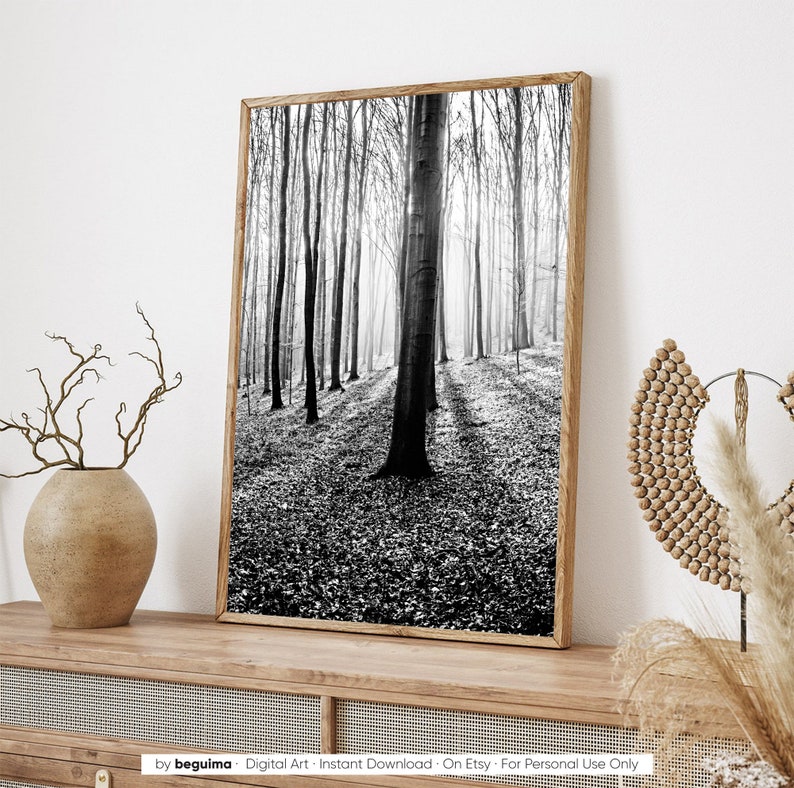 Impresión del bosque, arte de la pared de los árboles, imprimible, fotografía de la naturaleza, bosque, blanco y negro, foto, maderas, imagen, paisaje, decoración de la pared, digital, descargar imagen 4