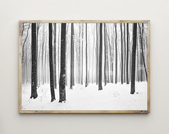 Winter Wall Art,Forest Prints,Landscape Photography,Trees,Printable,Nature,Photo,Picture,Snow,Woodland,Woods,Black & White,Digital Download