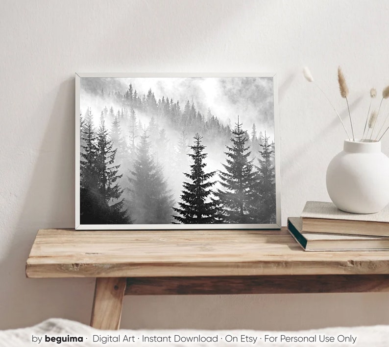 May include: A black and white photograph of a misty forest with tall pine trees. The fog is thick and creates a sense of mystery and peace.