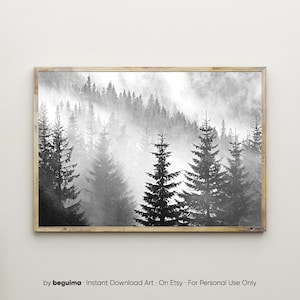 May include: A black and white photograph of a misty forest with tall pine trees. The fog is thick and creates a sense of mystery and peace.