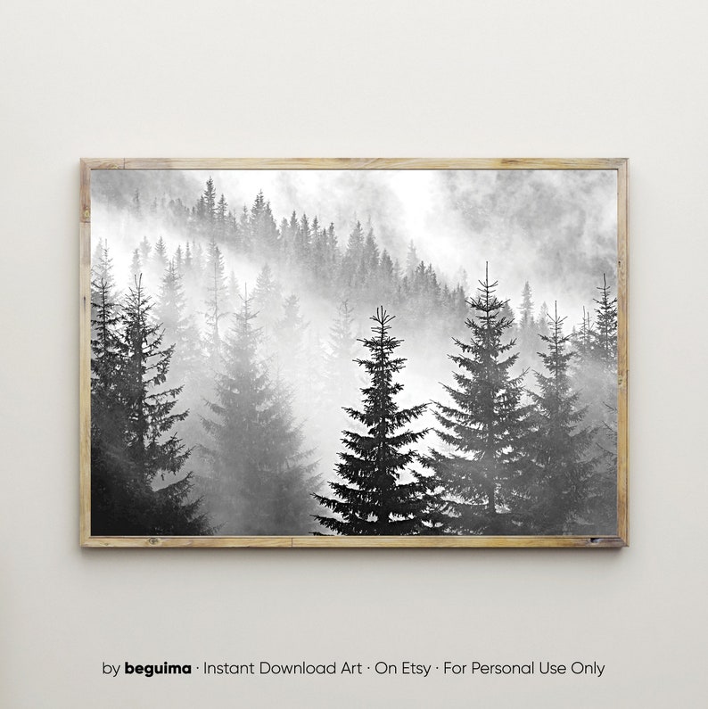 May include: A black and white photograph of a misty forest with tall pine trees. The fog is thick and creates a sense of mystery and peace.
