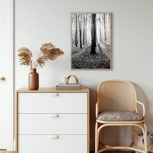 Impresión del bosque, arte de la pared de los árboles, imprimible, fotografía de la naturaleza, bosque, blanco y negro, foto, maderas, imagen, paisaje, decoración de la pared, digital, descargar imagen 6