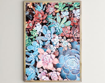 Cactus Print,Botanical Photography,Printable Wall Art,Succulent Plant,Cacti Picture,Colorful,Multicolor,Horizontal Photo,Digital,Download