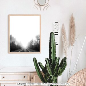 May include: A framed black and white landscape print depicts a road disappearing into a misty forest. The artwork is in a light wood frame, displayed on a white wall. A tall cactus and decorative elements are in the foreground.