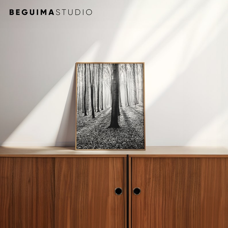 Forest Print,Trees Wall Art,Printable,Nature Photography,Woodland,Black & White,Photo,Woods,Picture,Landscape,Wall Decor,Digital,Download image 9