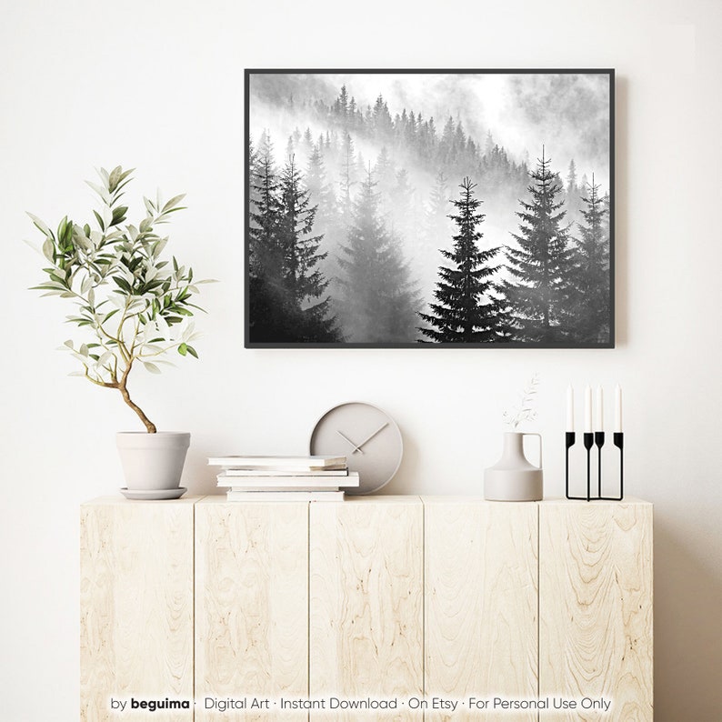 May include: A black and white photograph of a misty forest with tall pine trees. The fog is thick and creates a sense of mystery and peace.