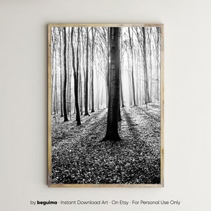 Stampa forestale, Arte da parete con alberi, Stampabile, Fotografia naturalistica, Bosco, Bianco e nero, Foto, Boschi, Immagine, Paesaggio, Decorazione da parete, Digitale, Download immagine 1