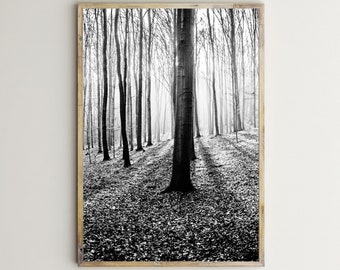 Wald Druck, Bäume, Wand Kunst, bedruckbar, Natur Fotografie, Wald, schwarz & weiß, Foto,Wald,Bild,Landschaft,Wand-Dekor,Digital,Herunterladen