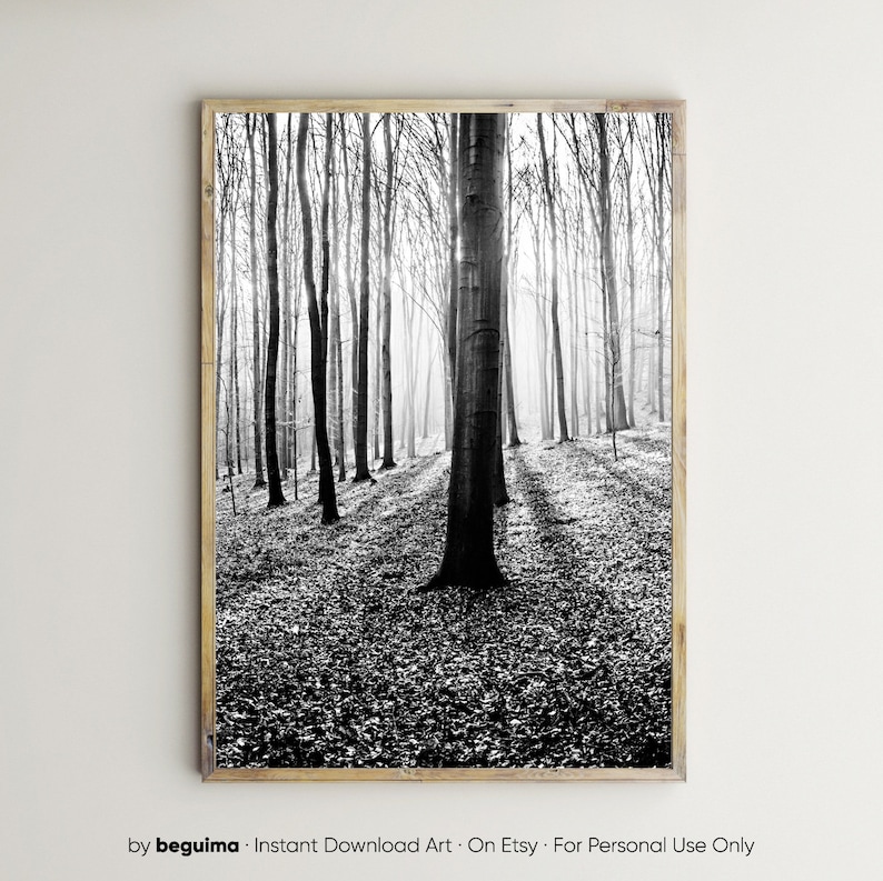 Impresión del bosque, arte de la pared de los árboles, imprimible, fotografía de la naturaleza, bosque, blanco y negro, foto, maderas, imagen, paisaje, decoración de la pared, digital, descargar imagen 1