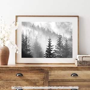May include: A black and white photograph of a misty forest with tall pine trees. The fog is thick and creates a sense of mystery and peace.