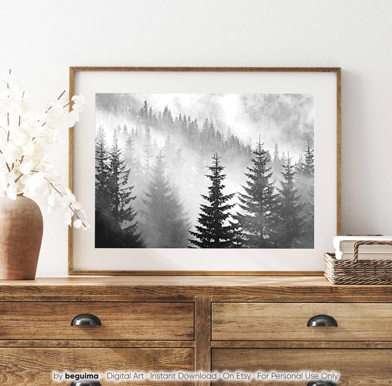 May include: A black and white photograph of a misty forest with tall pine trees. The fog is thick and creates a sense of mystery and peace.