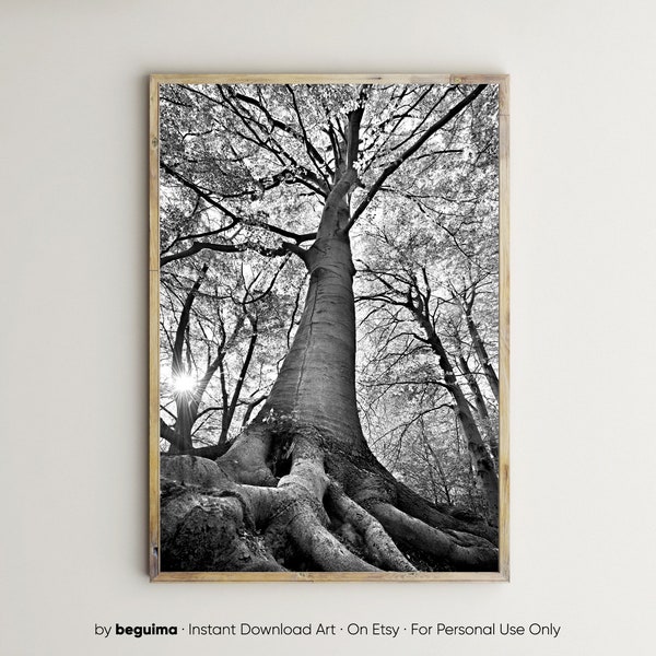 Forest Prints,Tree Wall Art,Printable,Landscape,Nature,Photography,Black & White,Photo,Picture,Woods,Woodland,Roots,Digital Download