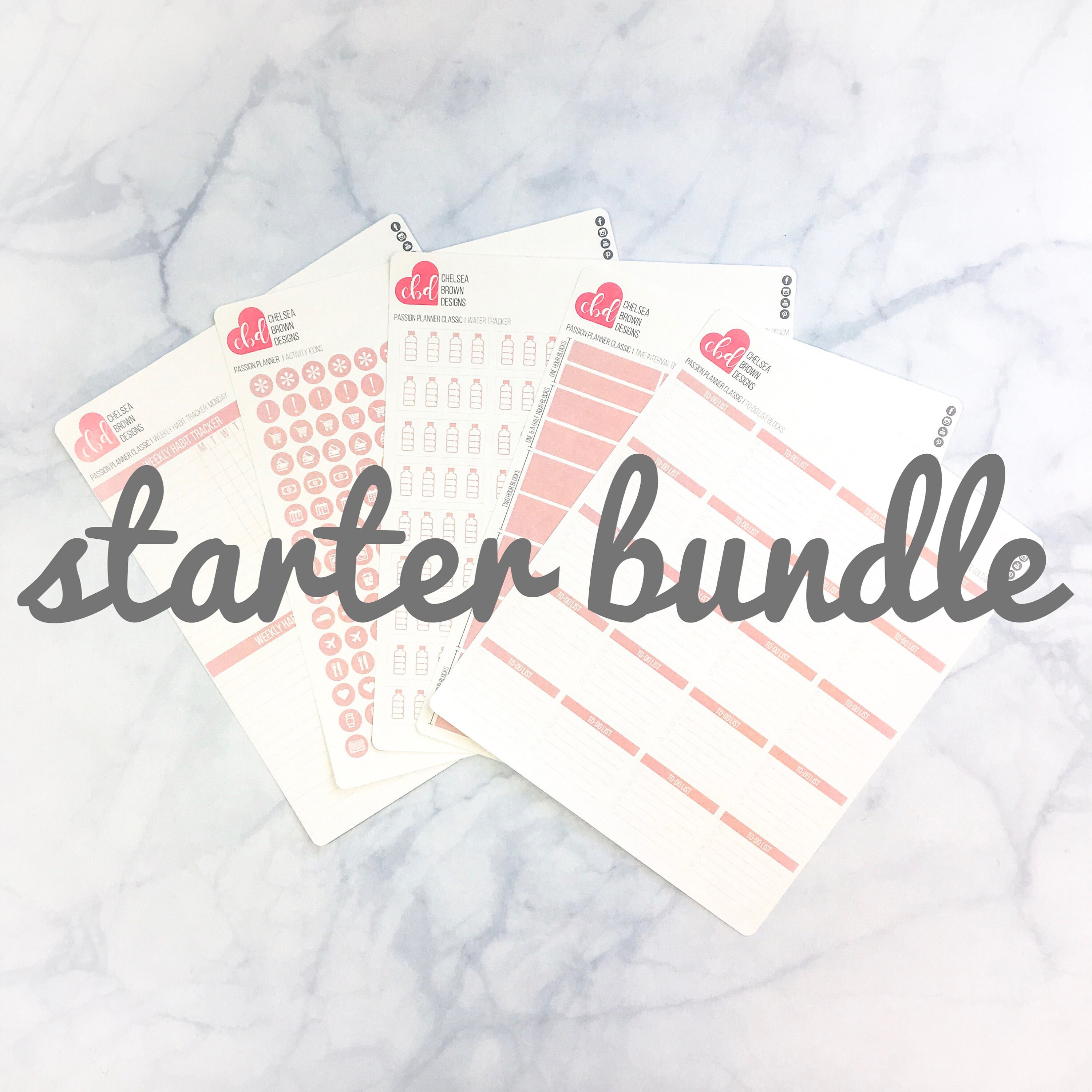Starter Bundle Passion Planner Stickers For The Classic And Etsy Starter bundle passion planner stickers for the classic and etsy