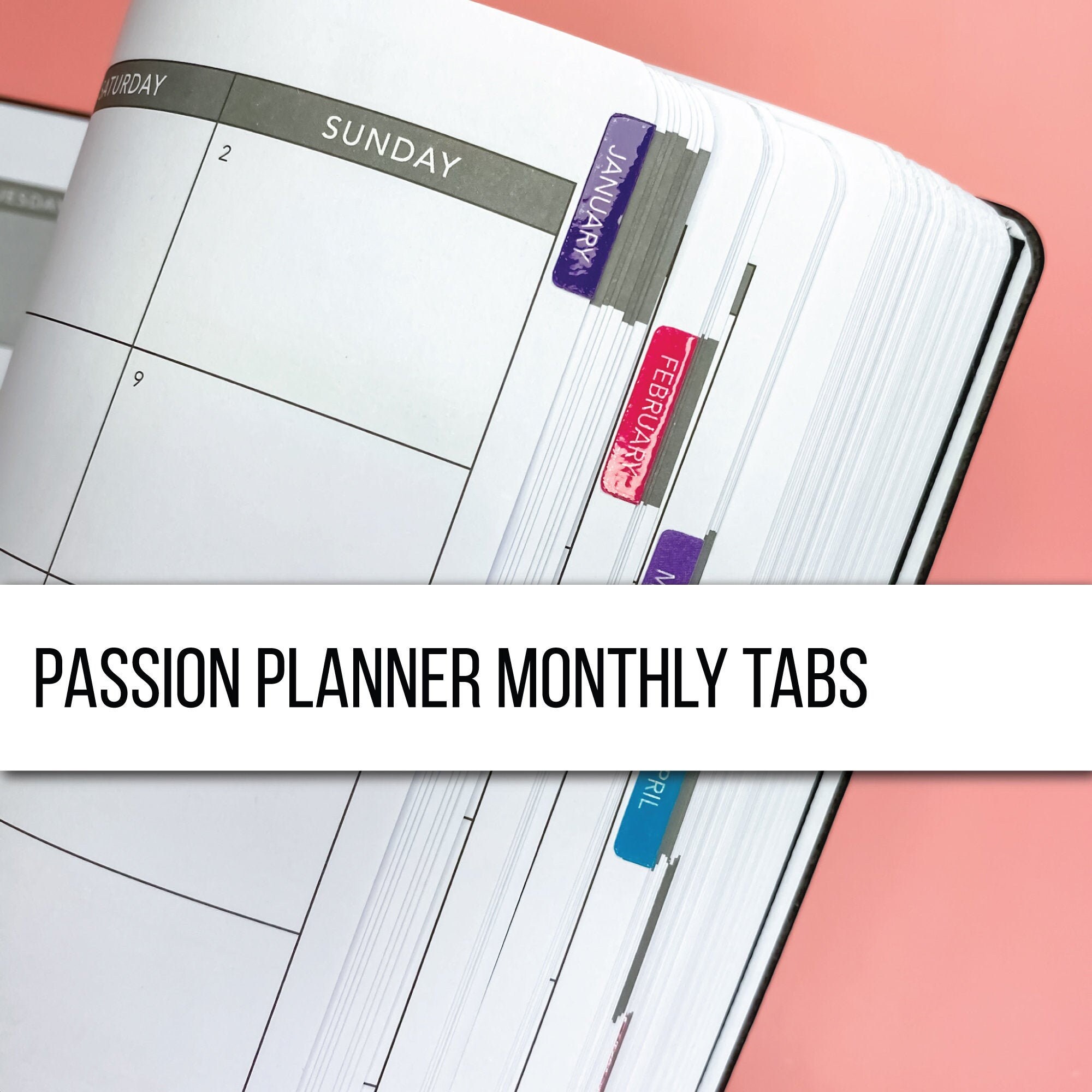 Calendars & Planners Paper Small MONTHLY Passion Planner Vintage Flamingo Printable Island ...