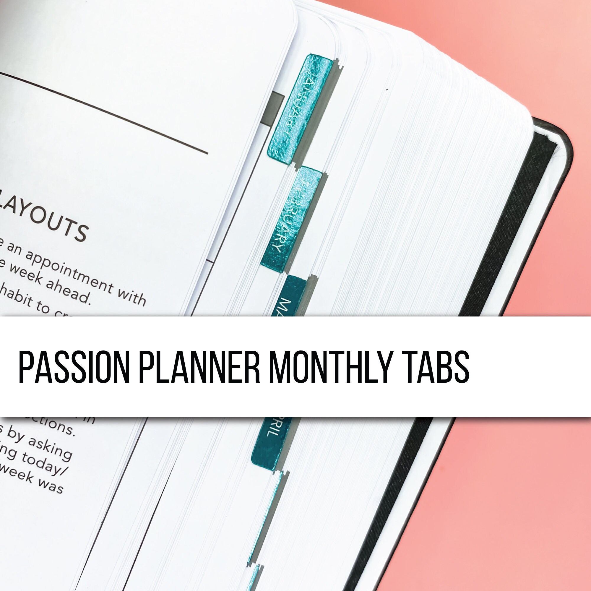 Foiled Flush Monthly Tabs Passion Planner Stickers For The Etsy Foiled Flush Monthly Tabs Passion Planner Stickers For The Etsy