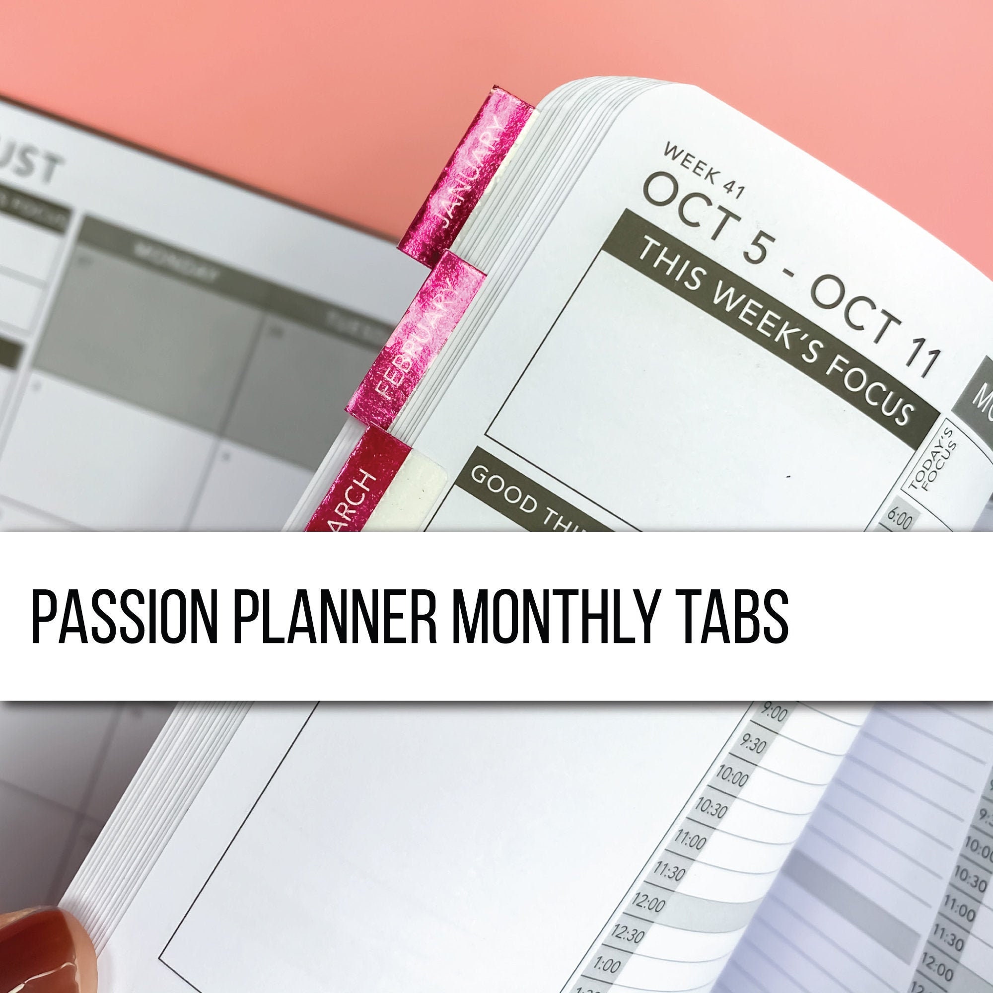 Foiled Monthly Tabs Passion Planner Stickers Passion - Etsy