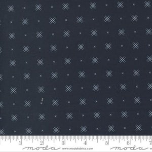 Beyond Bella Black by Annie Brady for Moda Fabrics