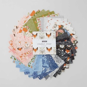 May include: A pack of 24 fabric squares featuring a woodland theme with foxes, owls, and other animals. The squares are in various colors and patterns, including blue, green, pink, and white. The pack is labeled "Woodland Wonder" by the designer, "Riley Blake Designs".