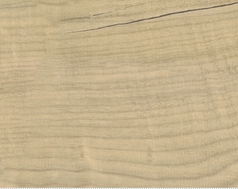 Outdoorsy Camp Wood Beech from Moda