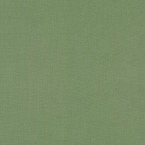 May include: A close-up of a solid, light green fabric with a subtle woven texture. The fabric has a consistent color and a slightly rough appearance, suggesting it might be linen or a similar material. The overall look is simple and natural.