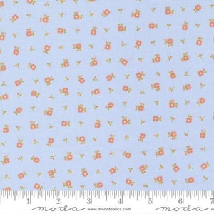 Peachy Keen Pixie Ditsy Light Blue by Corey Yoder from Moda