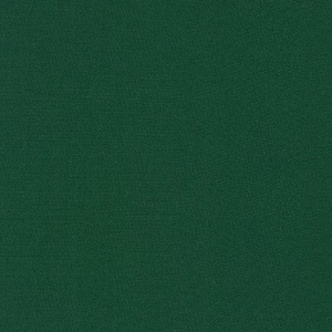 Forest Kona Solid by Robert Kaufman