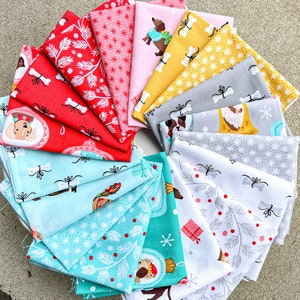 Furry and Bright Precuts by Andover Fabrics