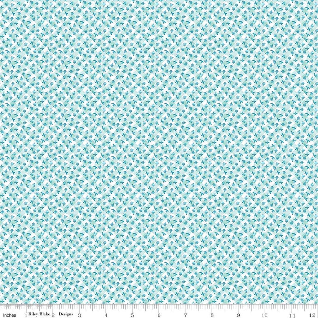 Playtime 30's Gingham Mist by Lindsay Wilkes for Riley Blake Designs - Etsy