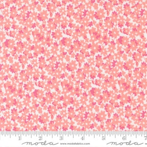 On the Bright Side Flower Garden Strawberry by Me and My Sister Designs for Moda Fabrics END OF BOLT