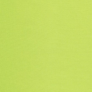 Sprout Kona Solid by Robert Kaufman