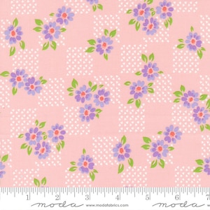 On the Bright Side Fields Bubble Gum by Me and My Sister Designs for Moda Fabrics