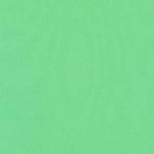 Parakeet Kona Solid by Robert Kaufman