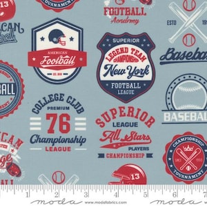 Play Ball Champions Patchwork Dolphin by Moda Fabrics