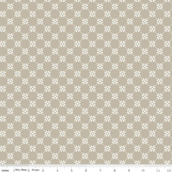 Gingham Cottage Quilty Gray by Heather Petersen for Riley Blake Designs