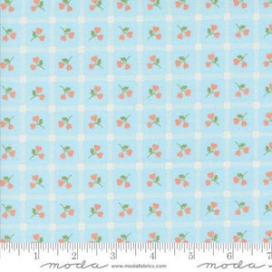 Dainty Meadow Picnic Petals Sky by My Sew Quilty Life for Moda Fabrics